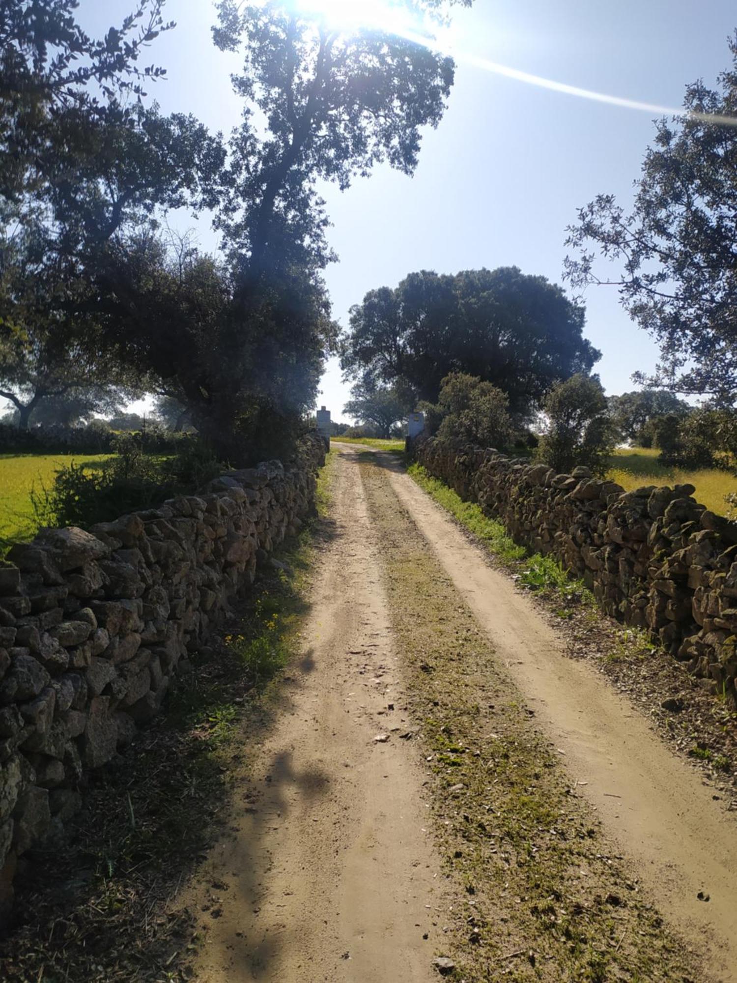 Finca Las Gamitas Almoharin Zewnętrze zdjęcie